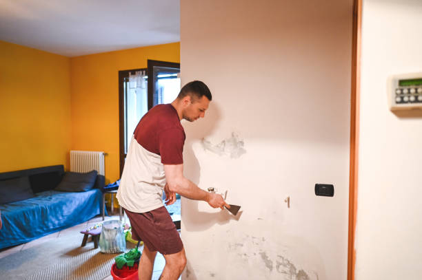 Office Mold Removal Services in Llano Grande, TX